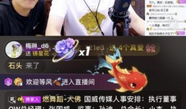 潘敏大哥爆料视频播放下载,独家内容播放下载全解析