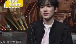 队友爆料宋亚轩视频,队友爆料背后的真相揭秘